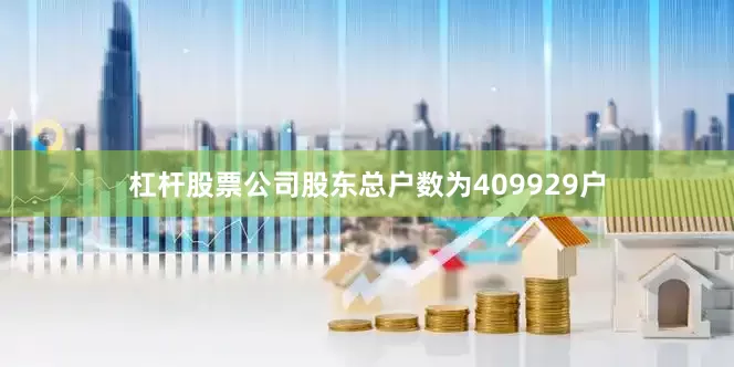 杠杆股票公司股东总户数为409929户