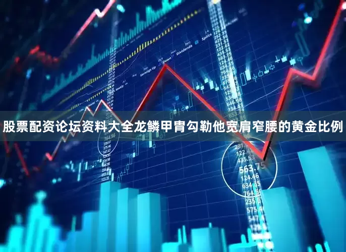 股票配资论坛资料大全龙鳞甲胄勾勒他宽肩窄腰的黄金比例