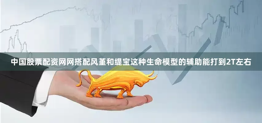 中国股票配资网网搭配风堇和缇宝这种生命模型的辅助能打到2T左右