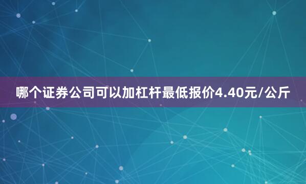 哪个证券公司可以加杠杆最低报价4.40元/公斤